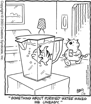 heathcliff.gif (38156 bytes)