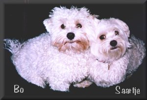 Saartje & Bo