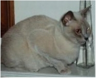 onyx