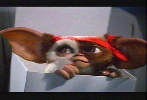 Gizmo da mogwai!