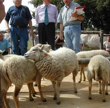 vers juru 2004