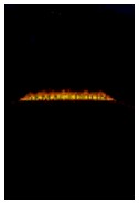 armageddon.jpg (3206 bytes)