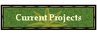 Current Projects