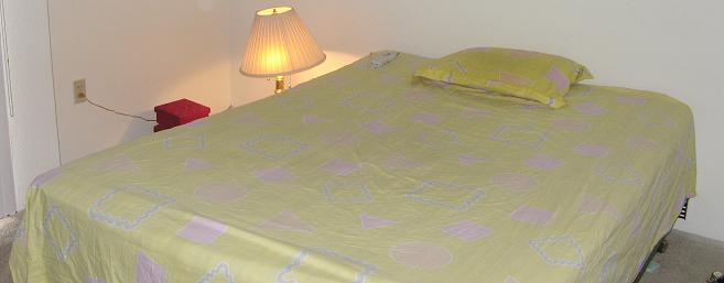 Queen size Matress Spring Box +Metal Frame (with 2 pillows), $100