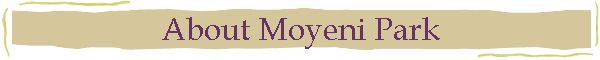 About Moyeni Park
