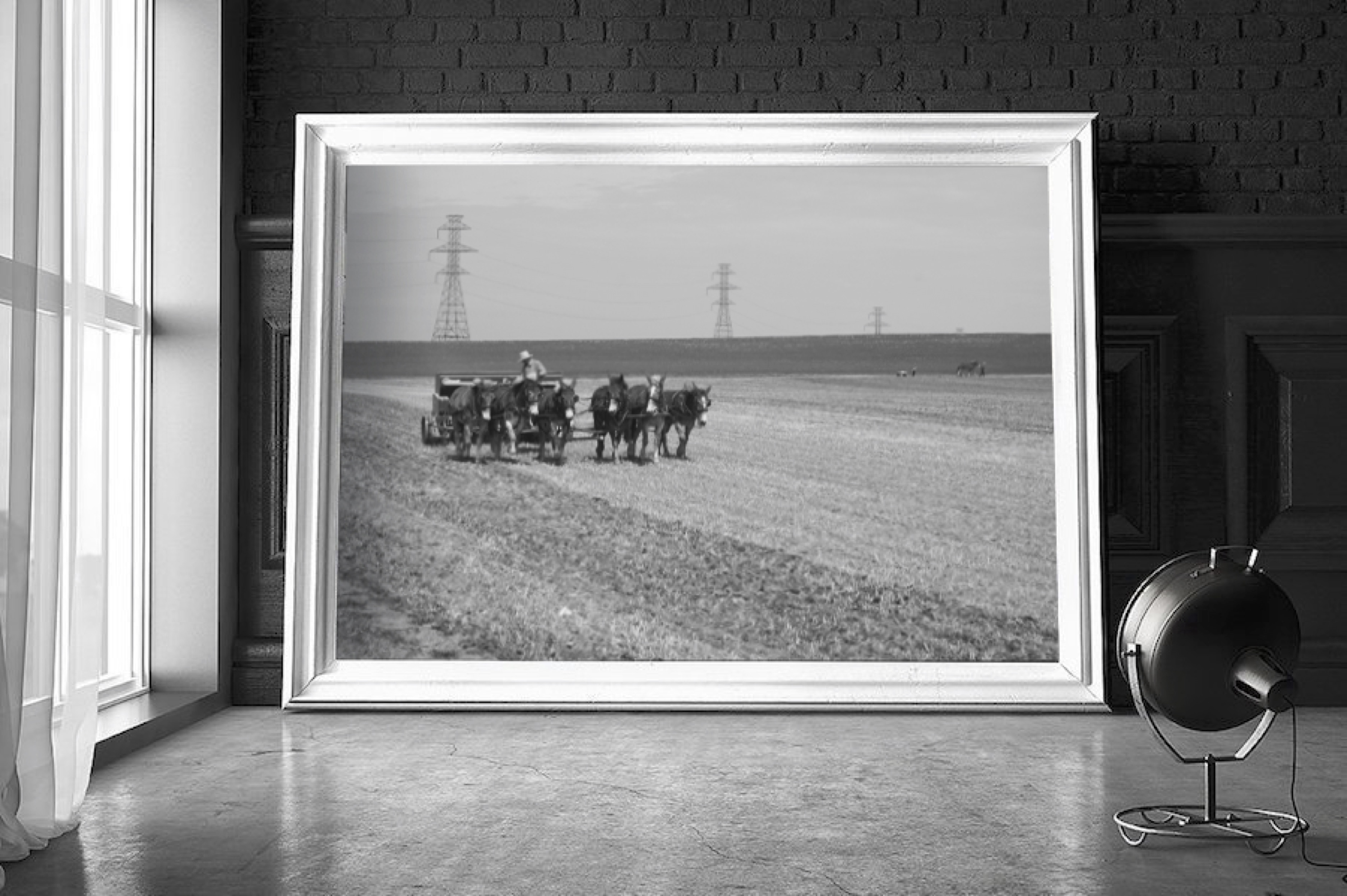 portfolio-image