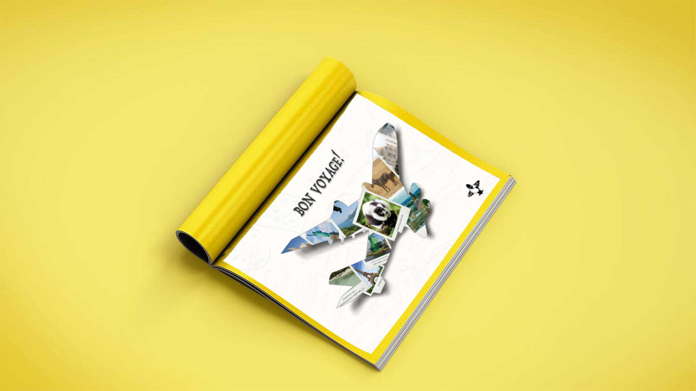 portfolio-image