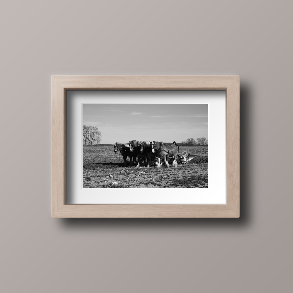portfolio-image