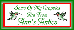 Ann's Antics