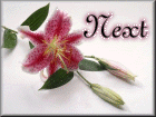 Women Web'O Pages Next