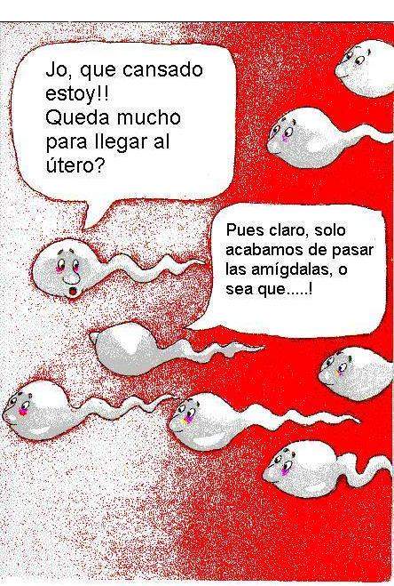 [Los Derechos Reservados para sus autores Originales]