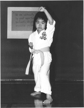 Click to jump to Meadowvale Martial Arts