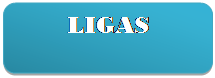 Rect�ngulo redondeado: LIGAS

