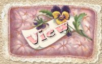 View Button