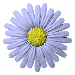 Daisy Button