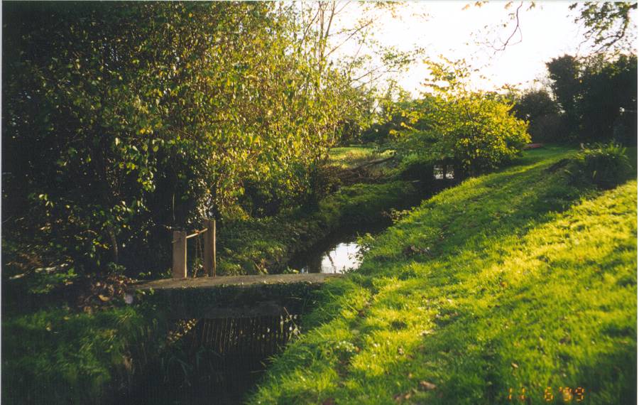 view of a tributary of the White River.