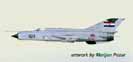 First mig