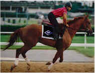 Mike out training in the early morning.