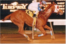 Notebook P.C. On His Way To Victory.