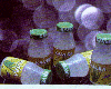 Kavera - Minuman Sari Lidah Buaya.