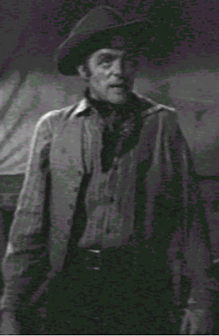 Wagon Train