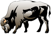 North - Buffalo