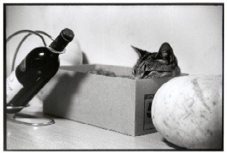 Most of my female friends like this one best.&nbsp; Cat was in the box, only took minor juggling to get the props to make it interesting.