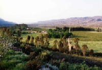 view from my folk's house.&nbsp; you're welcome to visit!