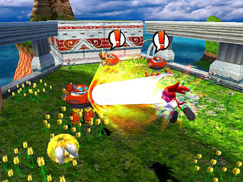 Knuckles Attacking