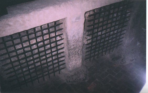 Cells