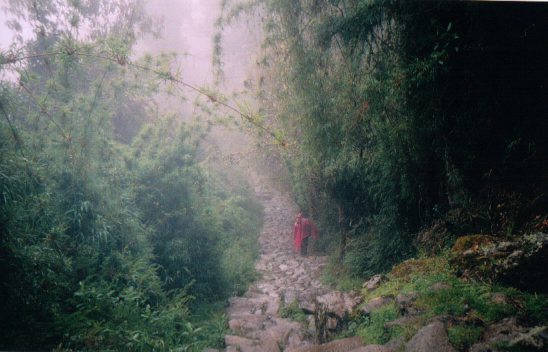 Trail