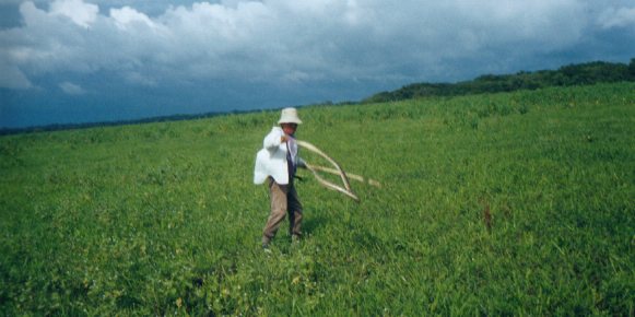 Snakewrangler