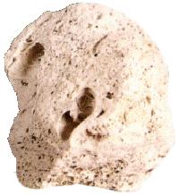 ppumice ppumice.jpg