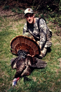 This is my 2000 Wisconsin gobbler. 5 beards!! One of my best trophys!!!!