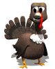 Click this boss gobbler to see some of my turkey kills.