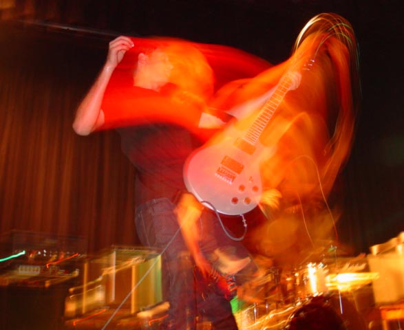photo: ansley acopian