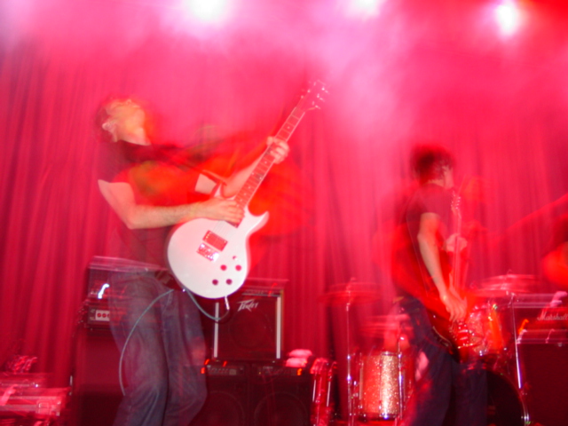 photo: ansley acopian
