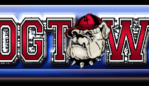 Dog Town Skateboards