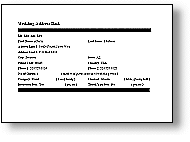 Wedding Database Template