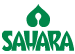 Sahara