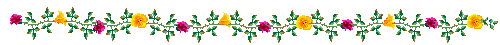 gal.gif (3978 bytes)