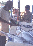 Sebastian cleaning the catch
