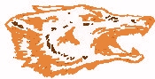 The Coyote Experience Has To Be Felt To Be Appreciated