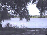 Lake Alice in the Springtime