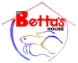 Mr. Betta's House