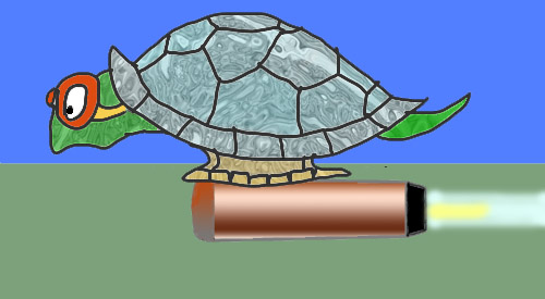 turtle riding jet engine