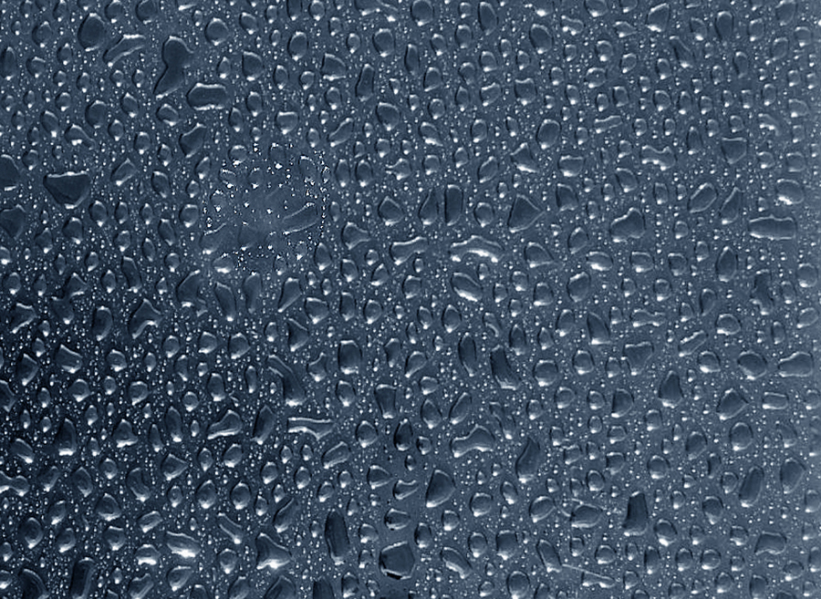 full size dew drops photo