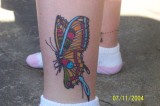 BUTTERFLY