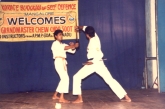 Manu & Sensei Lester Sword Attack Counter