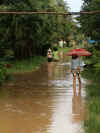 floodweb.jpg (77428 bytes)